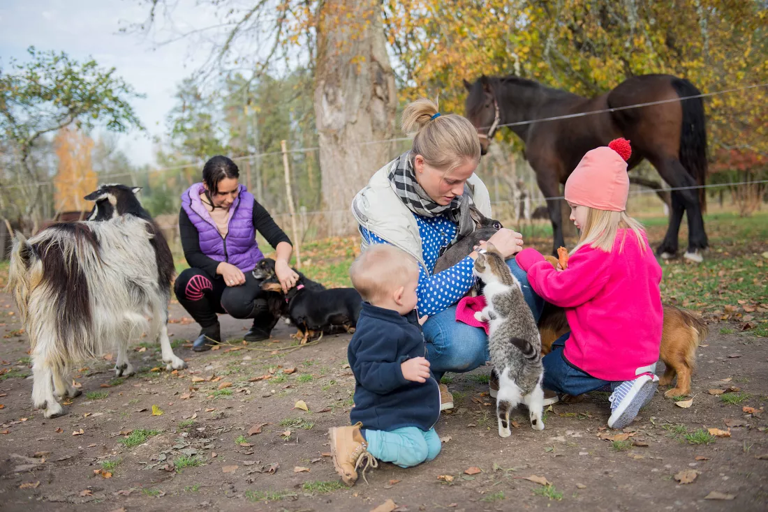 Zwierzęta w rekreacji, edukacji i terapiiv